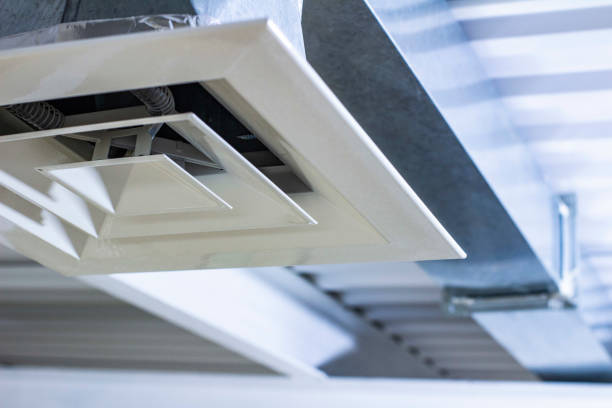 Best Residential Air Duct Cleaning  in Cottage Grove, MN