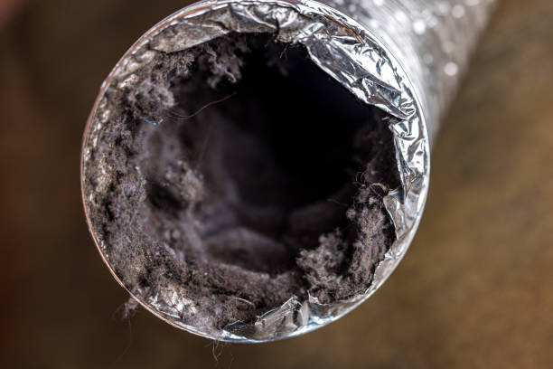 Best Air Vent Cleaning Services  in Cottage Grove, MN