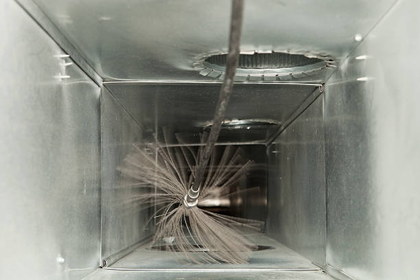 Best Professional Duct Cleaning Services  in Cottage Grove, MN