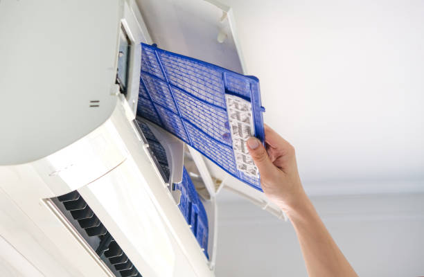Best Home Air Vent Cleaning  in Cottage Grove, MN