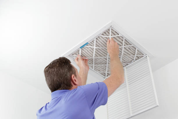 Best Dryer Vent Cleaning Services  in Cottage Grove, MN